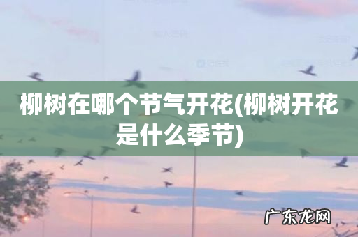 柳树开花是什么季节 柳树在哪个节气开花