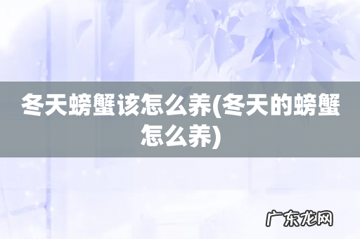 冬天的螃蟹怎么养 冬天螃蟹该怎么养