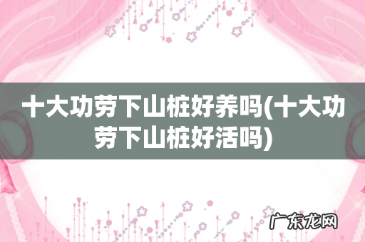 十大功劳下山桩好活吗 十大功劳下山桩好养吗