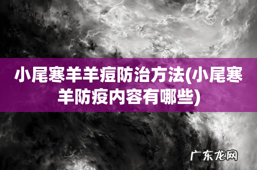 小尾寒羊防疫内容有哪些 小尾寒羊羊痘防治方法