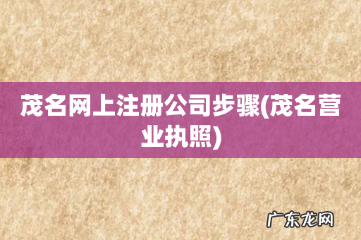 茂名营业执照 茂名网上注册公司步骤