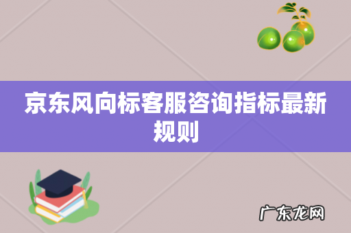 京东风向标客服咨询指标最新规则