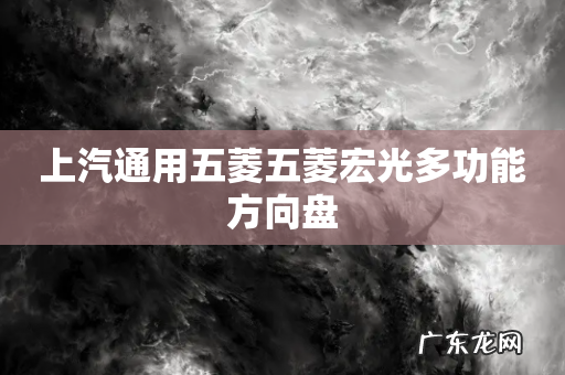 上汽通用五菱五菱宏光多功能方向盘