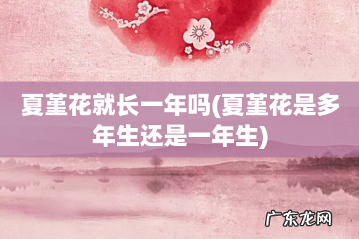 夏堇花是多年生还是一年生 夏堇花就长一年吗