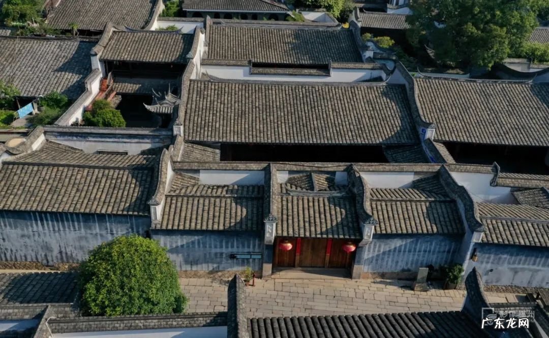 酸奶与柿子同吃会怎样 柿子和酸奶能一起吃吗?