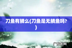 刀鱼是无鳞鱼吗? 刀鱼有鳞么