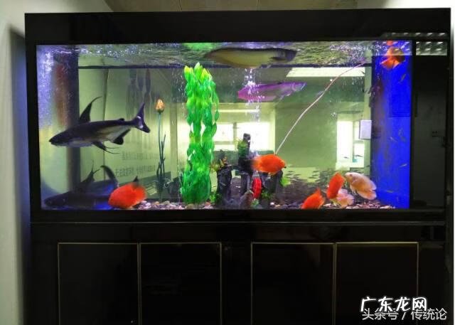 家庭鱼缸的最佳摆放图 潮汕风水局鱼缸摆法