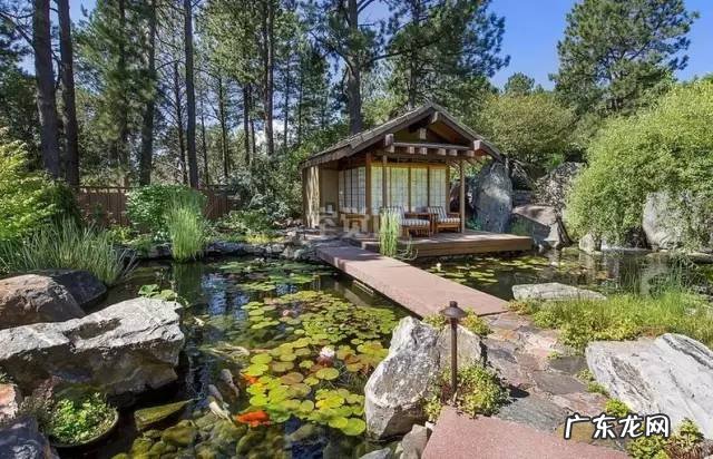 小麦草和小麦的区别 麦冬草风水