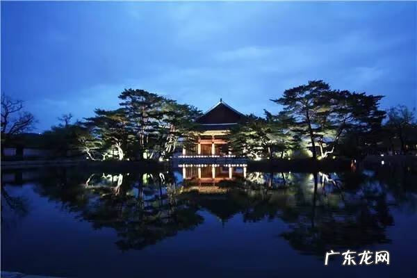 小麦草和小麦的区别 麦冬草风水
