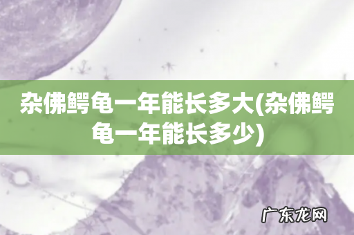 杂佛鳄龟一年能长多少 杂佛鳄龟一年能长多大