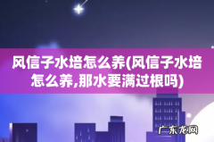 风信子水培怎么养,那水要满过根吗 风信子水培怎么养