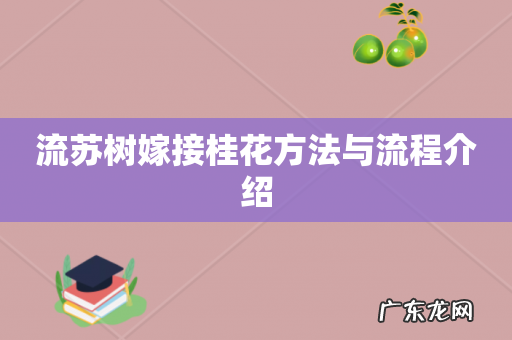 流苏树嫁接桂花方法与流程介绍