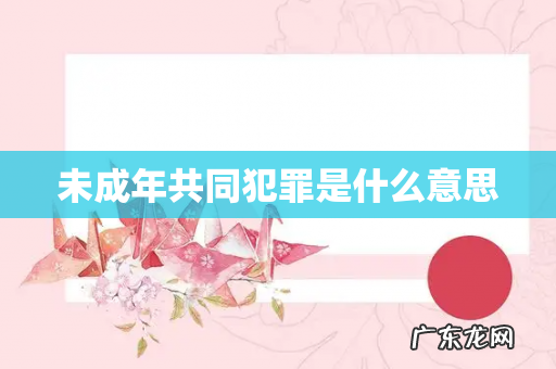 未成年共同犯罪是什么意思