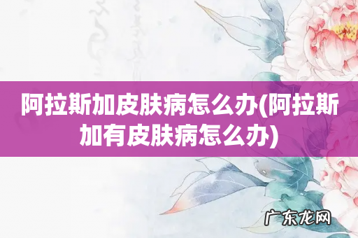 阿拉斯加有皮肤病怎么办 阿拉斯加皮肤病怎么办