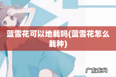 蓝雪花怎么栽种 蓝雪花可以地栽吗