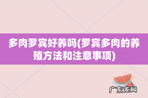 罗宾多肉的养殖方法和注意事项 多肉罗宾好养吗