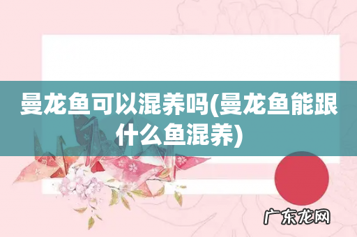 曼龙鱼能跟什么鱼混养 曼龙鱼可以混养吗