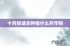 十月份适合种植什么农作物