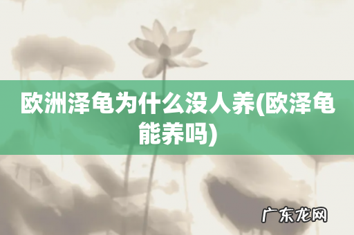 欧泽龟能养吗 欧洲泽龟为什么没人养