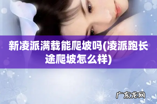 凌派跑长途爬坡怎么样 新凌派满载能爬坡吗