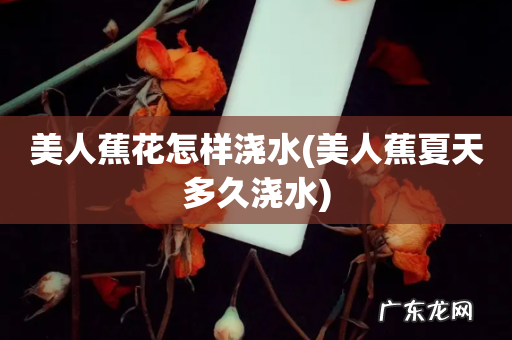 美人蕉夏天多久浇水 美人蕉花怎样浇水