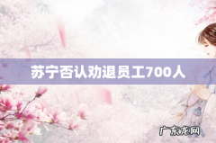 苏宁否认劝退员工700人