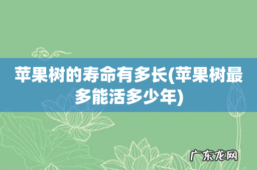 苹果树最多能活多少年 苹果树的寿命有多长