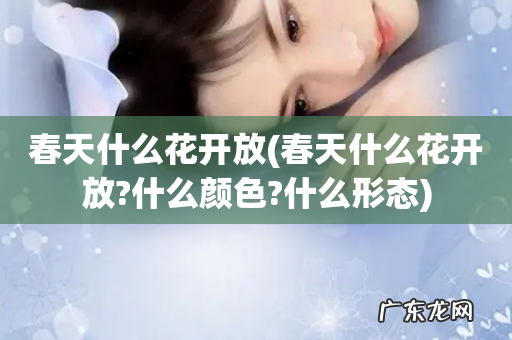 春天什么花开放?什么颜色?什么形态 春天什么花开放