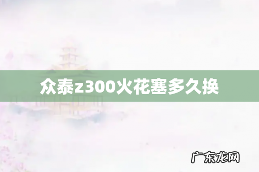 众泰z300火花塞多久换