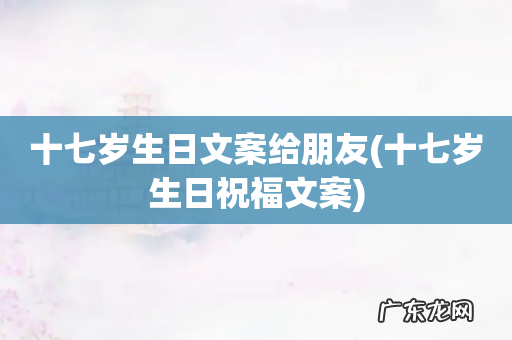 十七岁生日祝福文案 十七岁生日文案给朋友