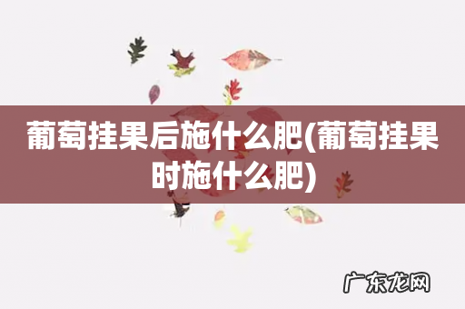 葡萄挂果时施什么肥 葡萄挂果后施什么肥