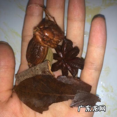 土豆烧肉的做法窍门 土豆烧肉用什么肉比较好