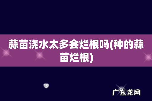 种的蒜苗烂根 蒜苗浇水太多会烂根吗