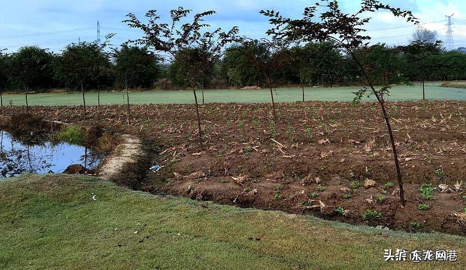 西安风水先生 西游记风水先生