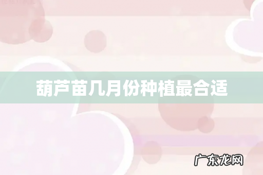 葫芦苗几月份种植最合适