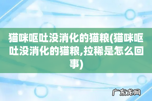 猫咪呕吐没消化的猫粮,拉稀是怎么回事 猫咪呕吐没消化的猫粮