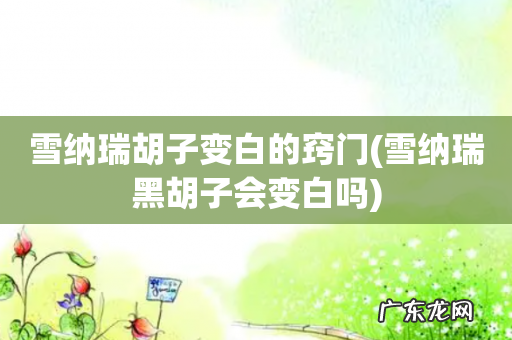 雪纳瑞黑胡子会变白吗 雪纳瑞胡子变白的窍门