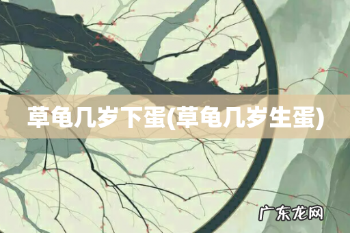 草龟几岁生蛋 草龟几岁下蛋