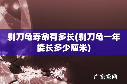 剃刀龟一年能长多少厘米 剃刀龟寿命有多长