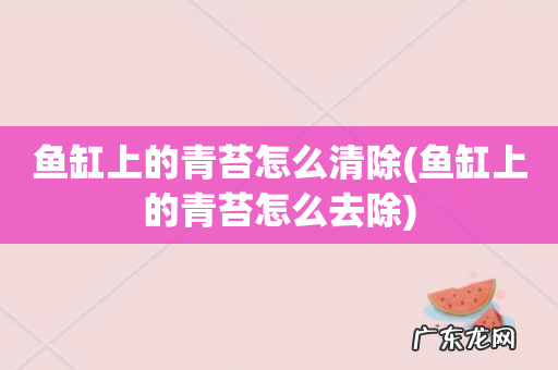 鱼缸上的青苔怎么去除 鱼缸上的青苔怎么清除