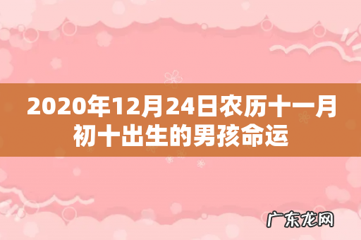 2020年12月24日农历十一月初十出生的男孩命运