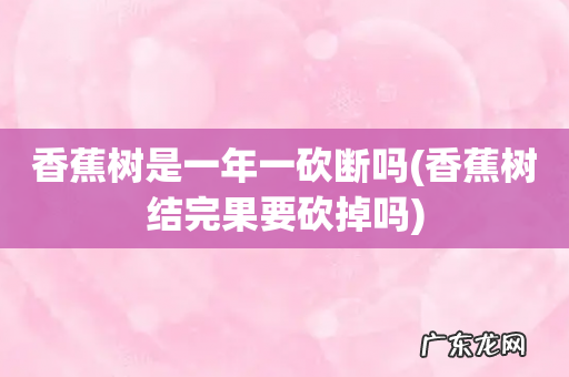 香蕉树结完果要砍掉吗 香蕉树是一年一砍断吗