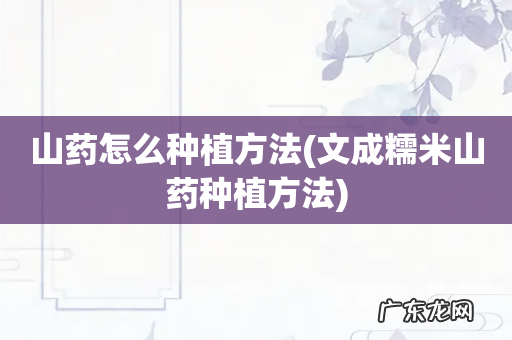 文成糯米山药种植方法 山药怎么种植方法