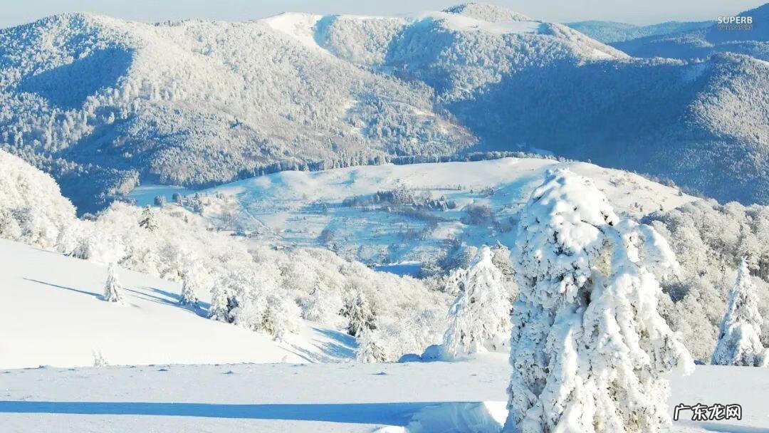 Byebye byefornow good night