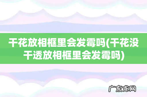 干花没干透放相框里会发霉吗 干花放相框里会发霉吗