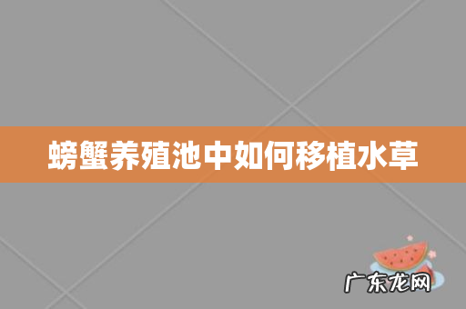 螃蟹养殖池中如何移植水草