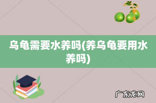 养乌龟要用水养吗 乌龟需要水养吗
