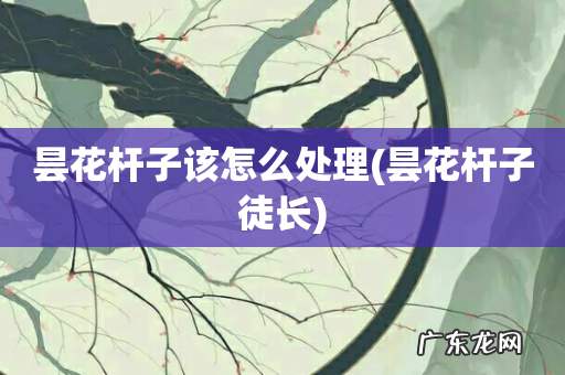 昙花杆子徒长 昙花杆子该怎么处理