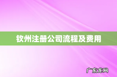 钦州注册公司流程及费用