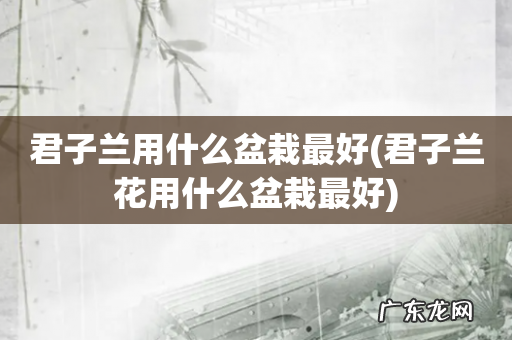 君子兰花用什么盆栽最好 君子兰用什么盆栽最好